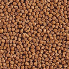 Hikari Goldfish Gold Baby Pellet - mangime premium per pesci rossi e piccole carpe Koi 2