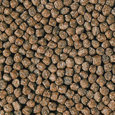 Hikari Goldfish Staple Baby Pellet - mangime galleggiante per persci rossi e piccole carpe Koi 2