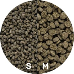 Hikari Seaweed Extreme Small Pellet 2