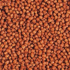 Hikari Tropical Betta Bio Gold 20gr - mini pellet specifico per Betta 2