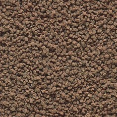 Hikari Tropical Micro Wafers - Alimento Completo Ideale per Specie Vivipare Ciclidi e Pesce Gatto 2