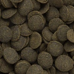 Hikari Tropical Mini Algae Wafers – mangime per Plecostomus e altri mangiatori di alghe 2