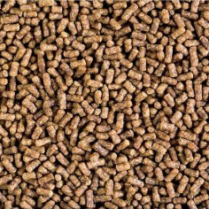 Saki-Hikari Fancy Goldfish Balance 200gr - mangime premium specifico per pesci rossi ornamentali 2