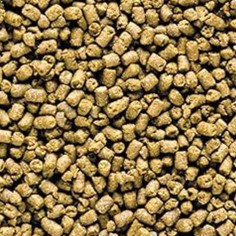 Saki-Hikari Marine Carnivore Sinking Type M 40gr - Mangime Affondante per Pesci Marini 2