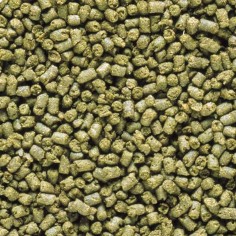 Saki-Hikari Marine Herbivore Sinking Type M 90gr - Mangime Affondante per Pesci Marini 2