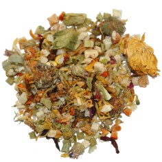 Lucky Reptile Bearded Dragon Mix Juvenil 35gr - mangime base per Draghi Barbuti giovani 2