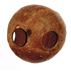 Lucky Reptile Coco Cave 10/15cm - noce di cocco forata per nascondigli