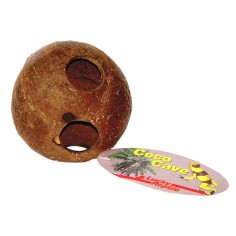 Lucky Reptile Coco Cave 10/15cm - noce di cocco forata per nascondigli 2