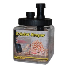 Lucky Reptile Cricket Keeper cm13,5x13,5x20h