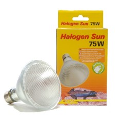 Lucky Reptile Halogen Sun - lampada alogena attacco E27 per rettili