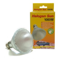 Lucky Reptile Halogen Sun - lampada alogena attacco E27 per rettili