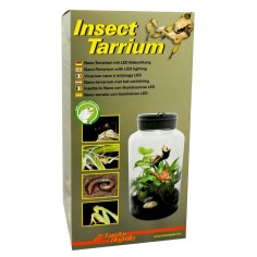 Lucky Reptile Insect-Tarrium 5L cm15x15x25h - mini terrario in plastica per insetti e ragni