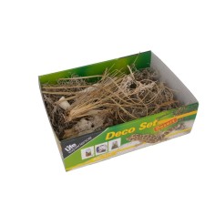 Lucky Reptile Life Experience Deco Set Desert - set di decorazioni per terrari desertici 2