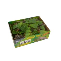 Lucky Reptile Life Experience Deco Set Jungle - set di decorazioni per terrari tropicali 2