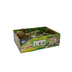 Lucky Reptile Life Experience Deco Set Mantis - set di decorazioni per insetti tropicali