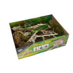 Lucky Reptile Life Experience Deco Set Mantis - set di decorazioni per insetti tropicali 2