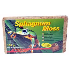 Lucky Reptile Spaghnum Moss 100gr - muschio espandibile