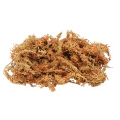 Lucky Reptile Spaghnum Moss 100gr - muschio espandibile 2