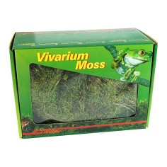 Lucky Reptile Vivarium Moss 150gr - muschio espandibile per terrari umidi