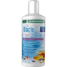 Dennerle Bacto Elixier FB7 - attivatore batterico