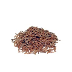 Prodac Bloodworms - Chironomus Liofilizzati 2