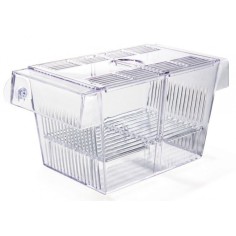 Prodac Domus Fish 2 cm20x10x10h - Sala parto con divisorio 2