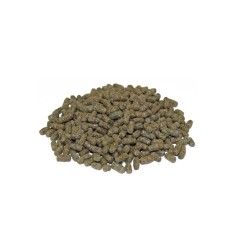 Prodac Tartafood Small Pellets - Alimento in Sticks per Piccole Tartarughe d'acqua Dolce 2