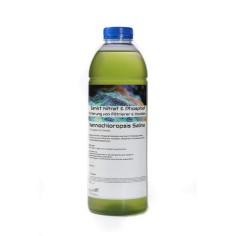 Plankton24 Nannochloropsis Salina 1000ml - phytoplankton vivo per l'abbattimento dei nutrienti in eccesso