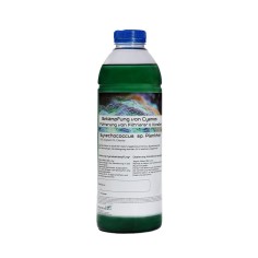 Plankton24 Synechococcus sp.Plankton 1000ml - phytoplankton vivo per coralli e filtratori