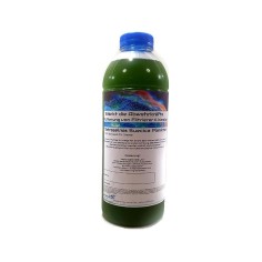 Plankton24 Tetraselmis Suecica 500ml - phytoplankton vivo ad alto valore nutritivo