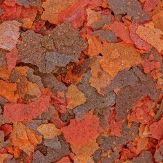 Ocean Nutrition Brine Shrimps Plus in fiocchi - 34gr 2