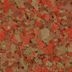 Ocean Nutrition Discus Flakes 34gr - Alimentazione Premium per Discus ed Altri Pesci Tropicali 2