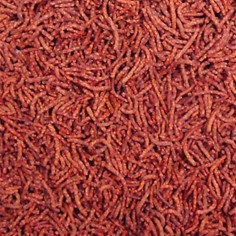 Ocean Nutrition Discus Pellets 125gr - Alimentazione Premium per Discus ed Altri Pesci Tropicali 2