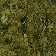 Ocean Nutrition Formula TWO Flakes with Garlic - 34gr 2