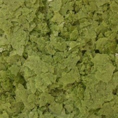 Ocean Nutrition Spirulina Flakes 34gr 2