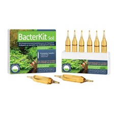 Prodibio Bacter Kit Soil - 6 fiale