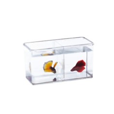 Ista Betta Double Display Case - Minibettiera in acrilico 2