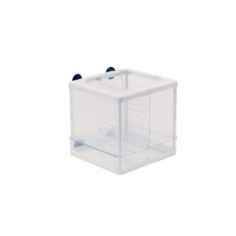 Ista Double Isolation and Breeding Box - sala parto in rete 2