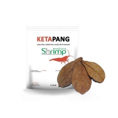Shrimp Nature Ketapang 5pz - foglie di Ketapang per vasche con caridine