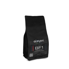 Alxyon Pro-Filter BF1 500ml - materiale sintetico...