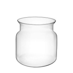 Terrario Bottle Garden Vaso Cilindrico per Terrario in vetro cm15x15h