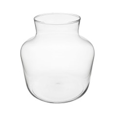 Terrario Bottle Garden Anfora per Terrario in vetro cm23x24h