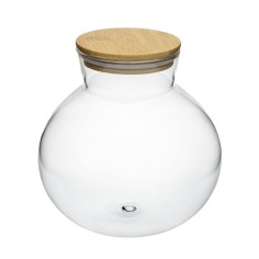 Terrario Bottle Garden Anfora con coperchio in legno per Terrario in vetro cm185x180h