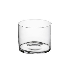 Terrario Bottle Garden Cilindro a taglio caldo per Terrario in vetro cm25x20h