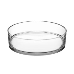 Terrario Bottle Garden Ciotola a taglio caldo per Terrario in vetro cm30x12h