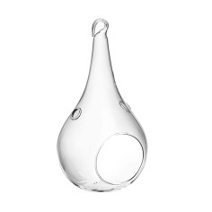 Terrario Bottle Garden Goccia forata da appendere per Terrario in vetro cm12x23h