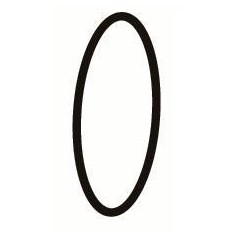 Deltec Ricambio O-ring per bichierre skimmer 600 i/ix