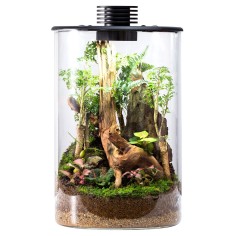 Bioloark Bio Bottle ZD150 cm15x29,5h - terrario...