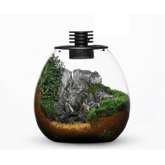 Bioloark Bio Bottle PD170 cm17,5x19,5h - terrario a bolla...