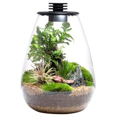 Bioloark Bio Bottle SD175 cm17,5x23h - terrario a goccia...